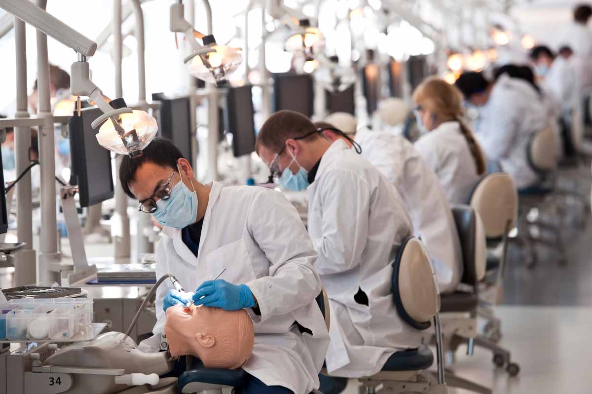Dental School Requirements & How to Get into a Top Dental School